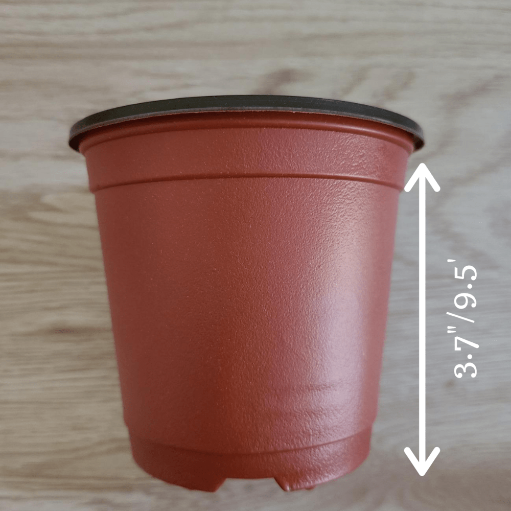 Garden Nursery Pots - Hasty Roots