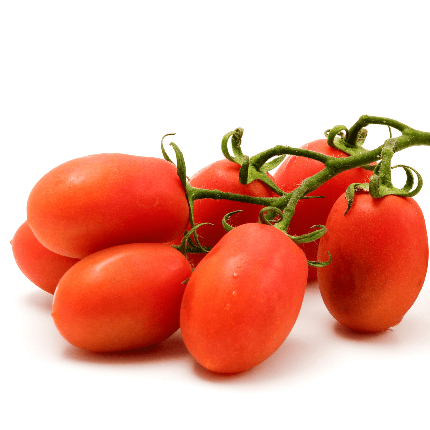 Roma Tomatoes - Hasty Roots