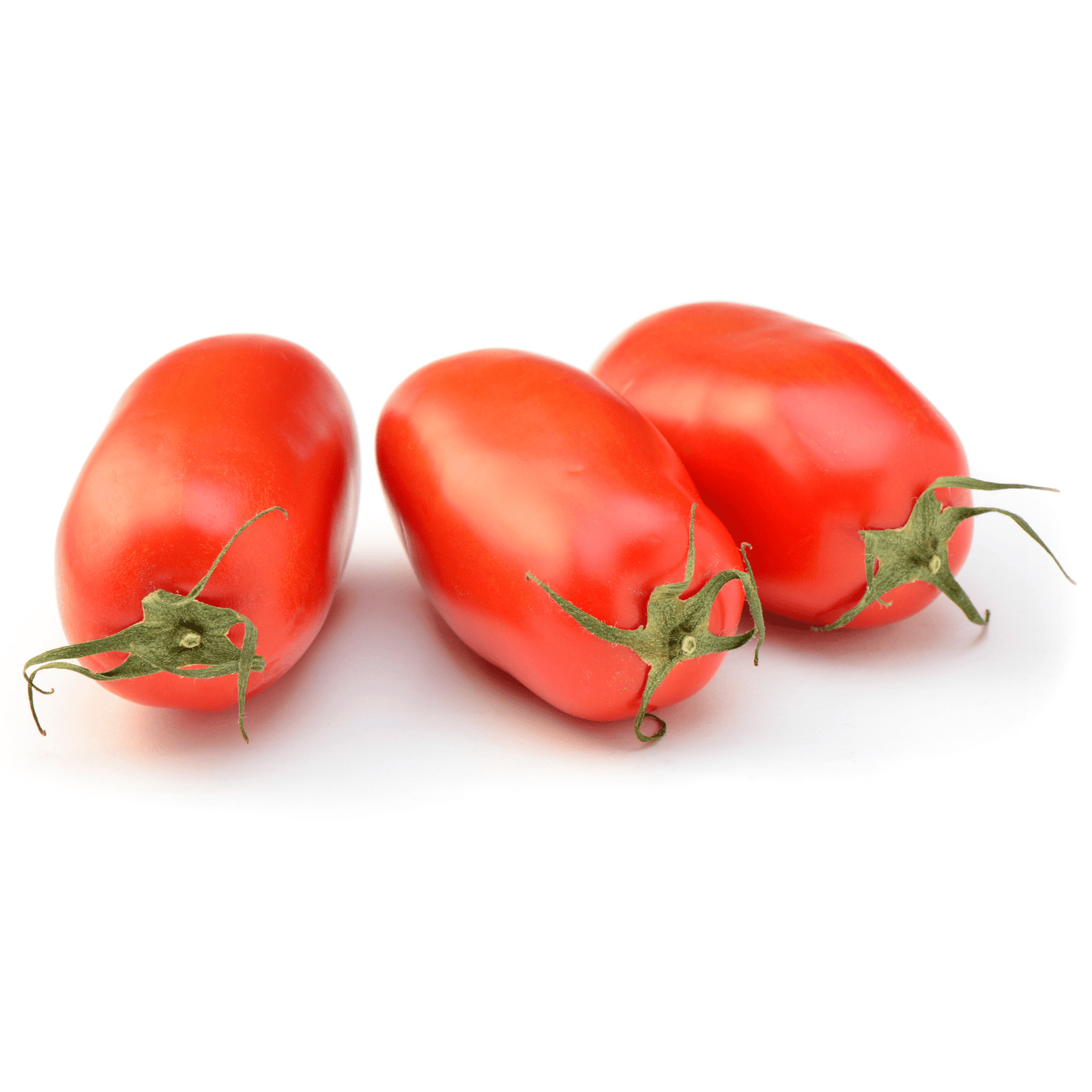 San Marzano Tomato - Hasty Roots
