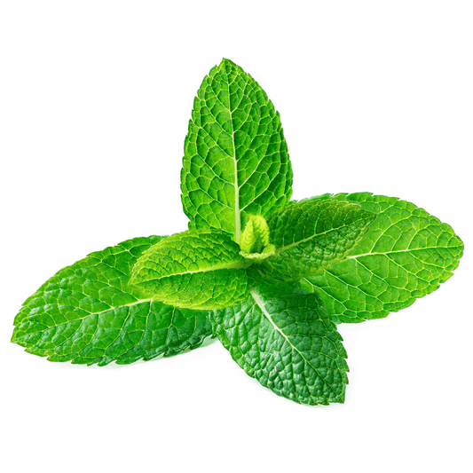 Spearmint Seeds