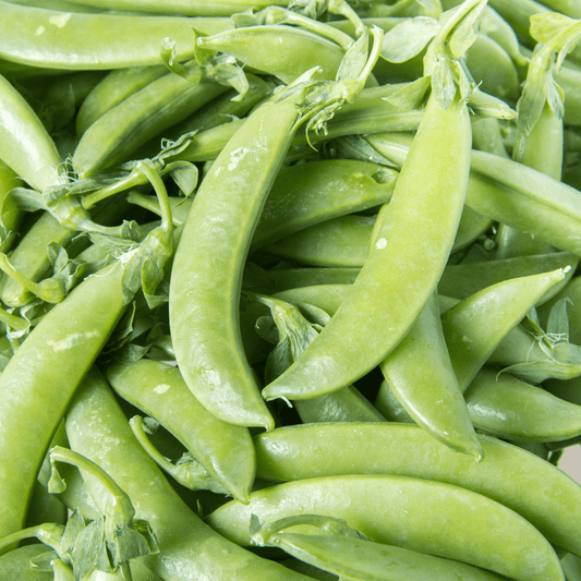 Sugar Ann Snap Peas - Hasty Roots