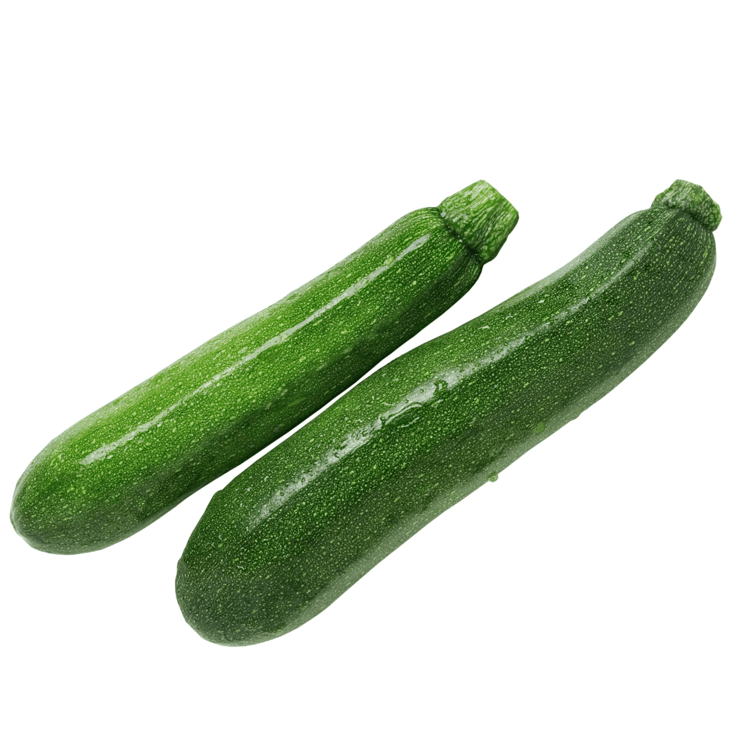 Zucchini-Black Beauty - Hasty Roots